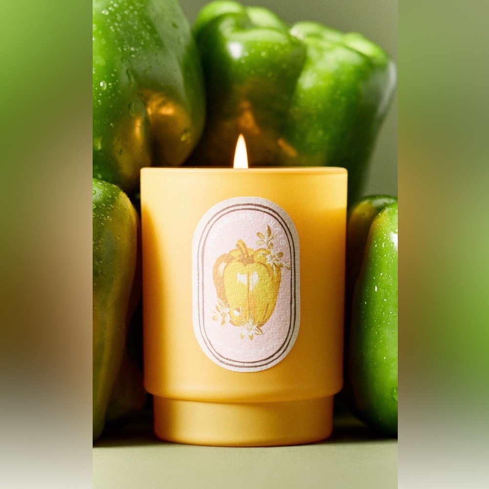 Anthropologie Juliette Fresh Wildflowers & Bell Pepper
Boxed Glass Candle NEW